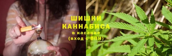 PSILOCYBIN Бородино